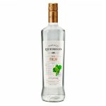 Pisco SANTIAGO QUEIROLO Italia