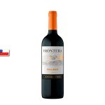 Vino FRONTERA Malbec Botella 750ml