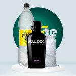 Combo Gin BULLDOG 750ml + Evervess Agua Tónica 1.5L + Hielo 1.5kg